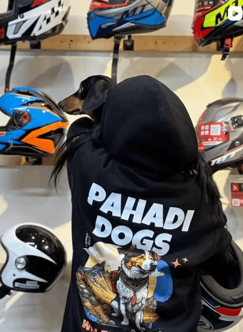 Pahadi Dogs | Hoodie
