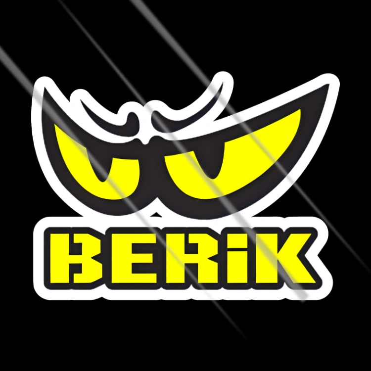 berik racing eyes car bumper sticker vinyl decal for cars bikes helmets and riders