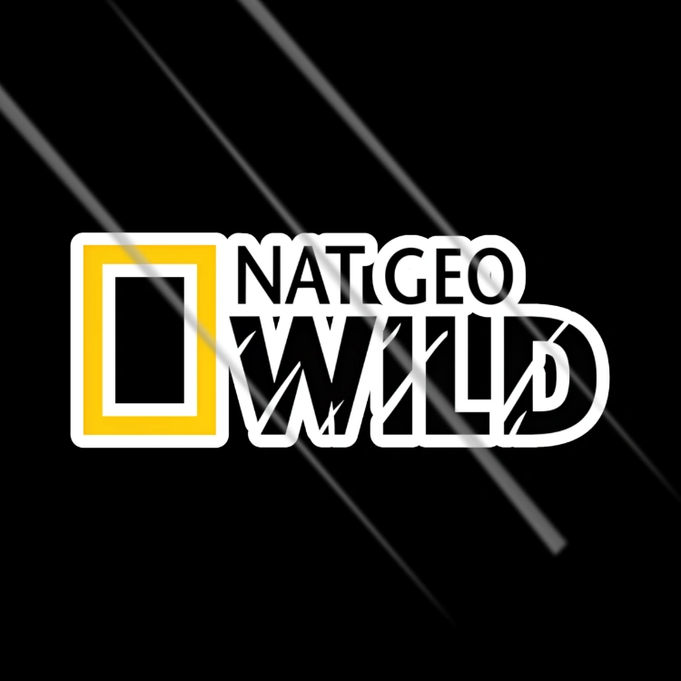 National Geographic Wild logo vinyl sticker for cars, bikes and laptops – Motohomies